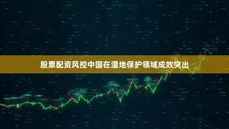 股票配资风控中国在湿地保护领域成效突出