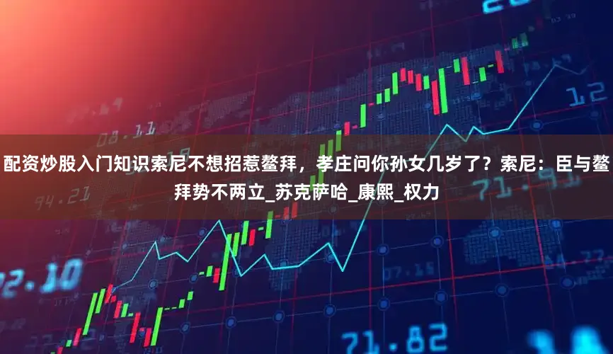 配资炒股入门知识索尼不想招惹鳌拜，孝庄问你孙女几岁了？索尼：臣与鳌拜势不两立_苏克萨哈_康熙_权力